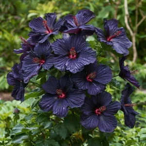 Гибискус Мэджик Момент купить по цене от 699р. в интернет-магазине «Посадика» с доставкой почтой в в Бежецке и по всей России – [изображение №1].